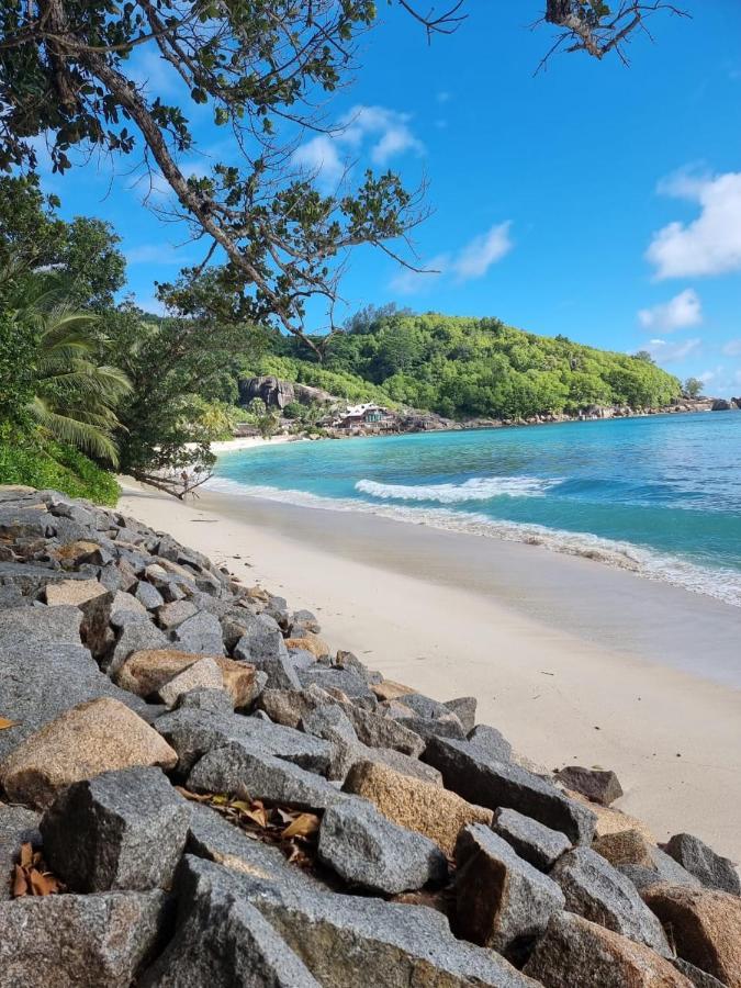 Chalets Des Vacances Takamaka Bagian luar foto
